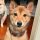TSUKI logo