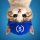 UpSideDownCat