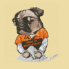 WSDOGE