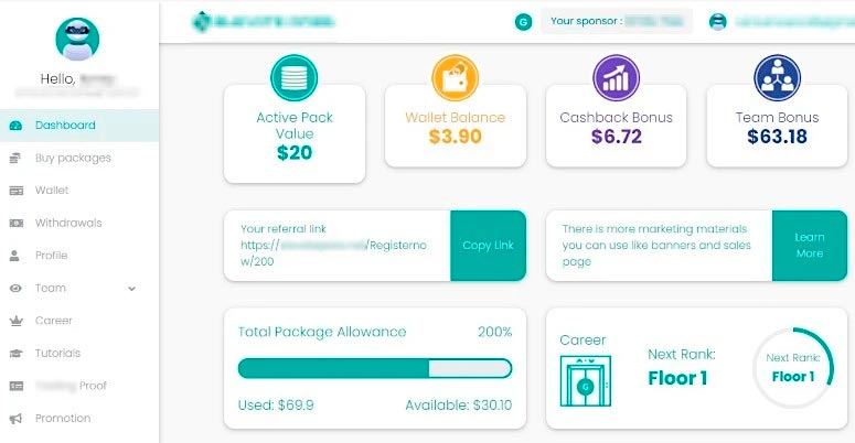 Пример финансовой пирамиды