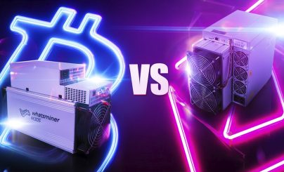 Antminer и Whatsminer