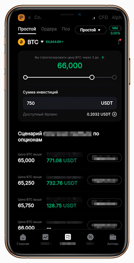 Интерфейс простого режима в опционах