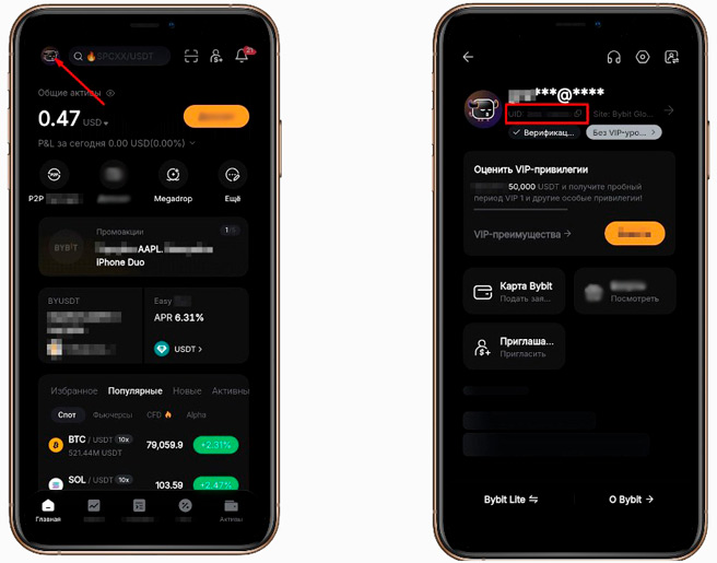 Идентификатор аккаунта в приложении Bybit