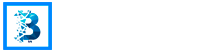 Blockchain Life 2025