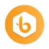 BIST logo