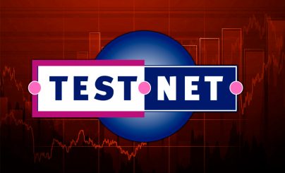 Что такое testnety