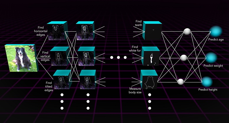 Схема работы искусственного интеллекта