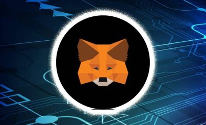 MetaMask Snaps
