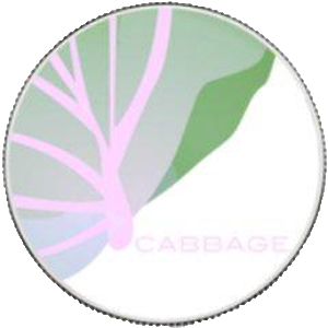 CabbageUnit