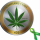 CANN logo