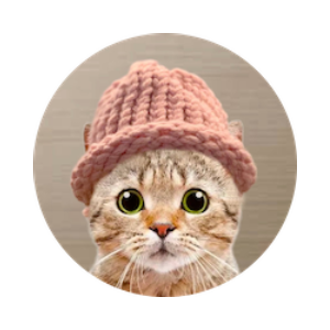 CatWifHat