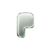 Pons
