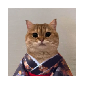 Cat Own Kimono