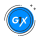 G1X logo