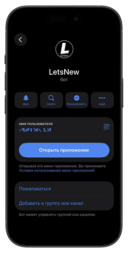 Окно с данными о боте