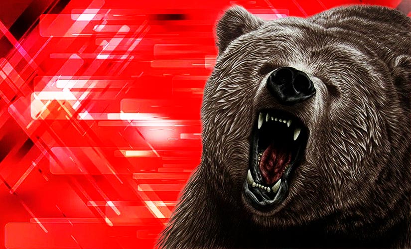 Bears