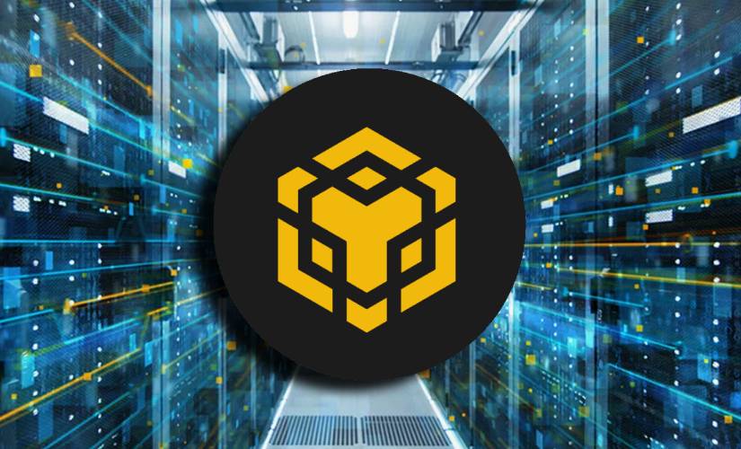 Бинанс волет