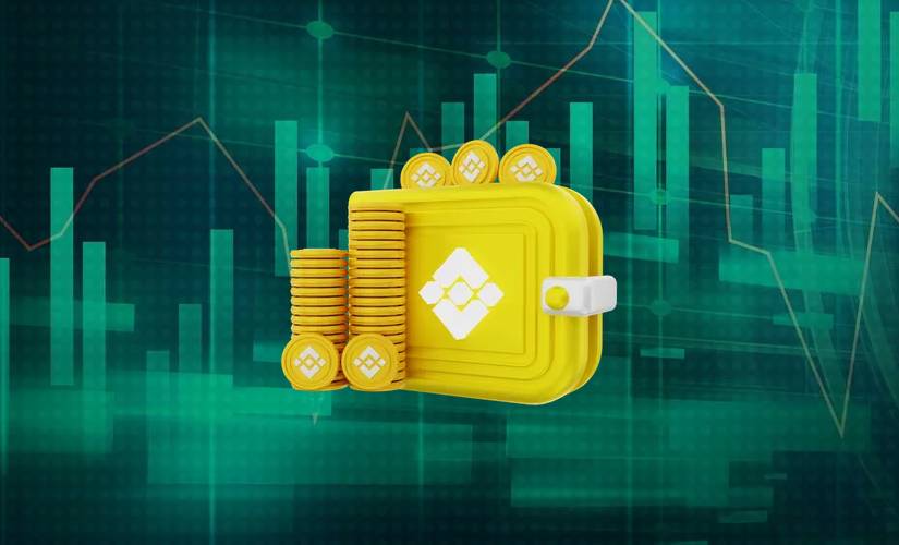 Бинанс волет