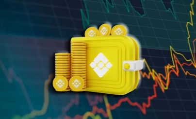 Бинанс Волет