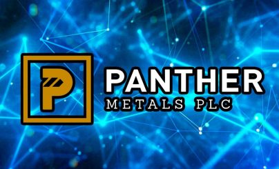 Metal Panther