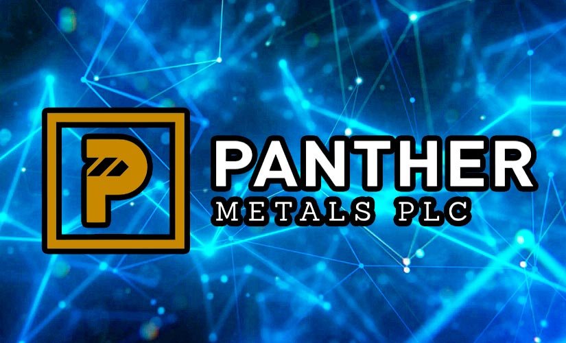 Metal Panther
