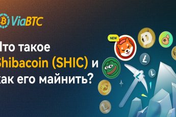 Shibacoin