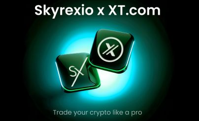 Платформа Skyrexio