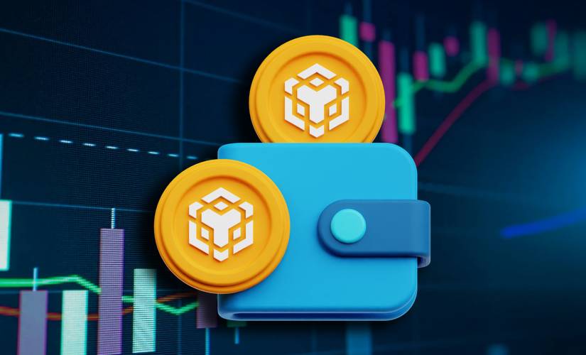 Бинанс волет