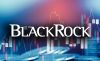 Продукт BlackRock IBIT обеспечивает почти весь приток в Bitcoin ETF в 2025 году