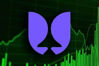 Флаин тулип