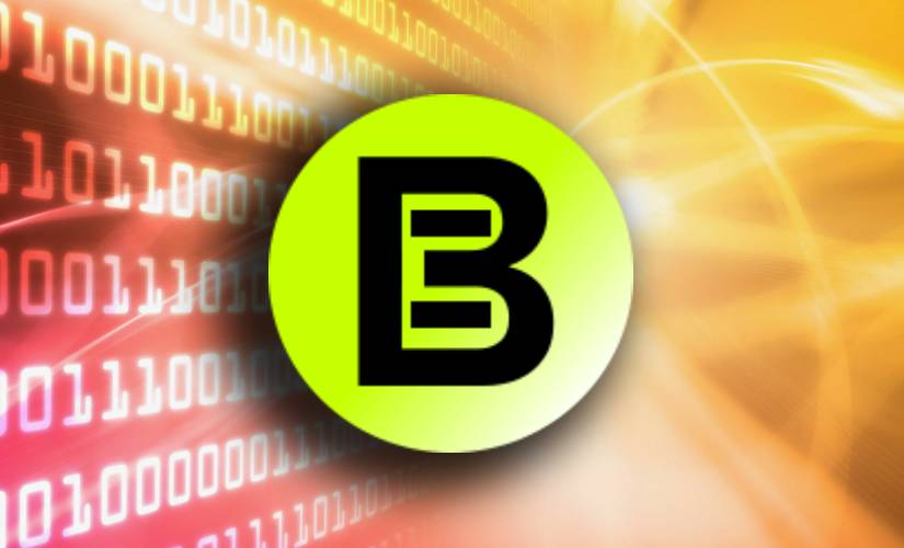 Компания BitMine Immersion продолжает наращивать запасы эфиров в казначействе