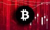 Новые инвесторы BTC в панике фиксируют прибыль и убытки на фоне спокойствия долгосрочных инвесторов