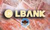 Трейдер обвинил LBank в заморозке своих активов после получения 10-кратной прибыли на сделках с PNUT