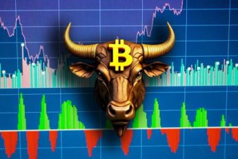 Бычий рынок