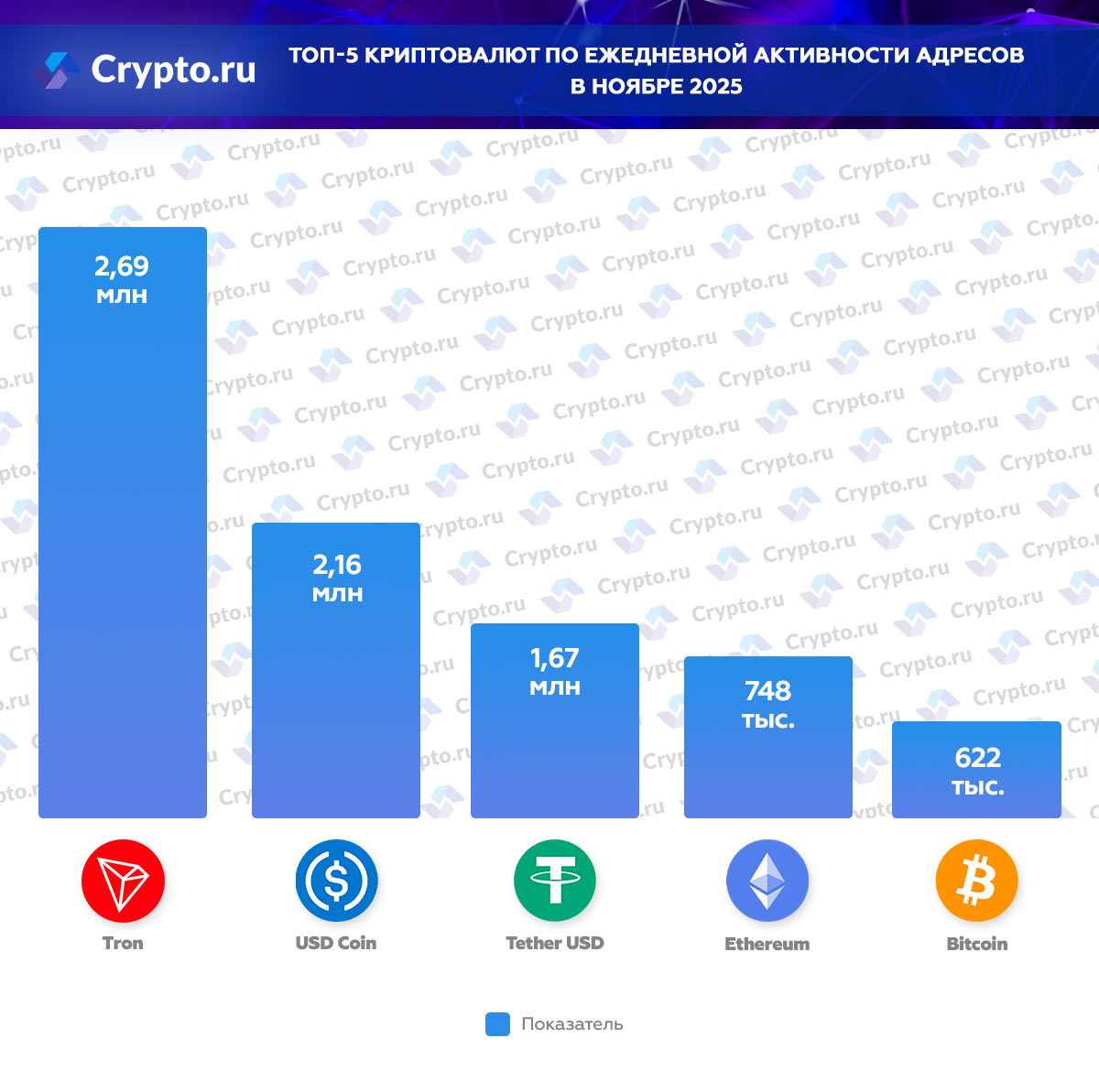 Инфографика