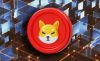 Аналитики не могут предсказать движение курса Shiba Inu: метрики не дают понимания ситуации на рынке
