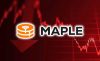 Эксперты обвиняют Maple Finance в рисках для BTC-кредиторов