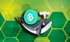 Крупные держатели BTC накопили рекордное количество монет