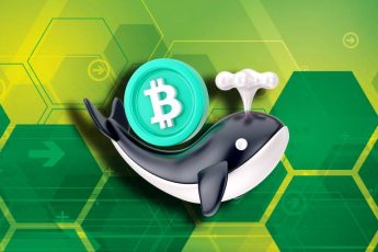 Биткоин киты