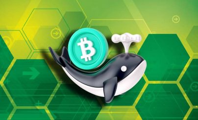 Биткоин киты