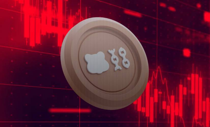 Разработчики Berachain отвергли обвинения из-за раунда финансирования Series B