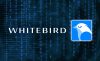 На площадке WhiteBird был открыт раздел ICO
