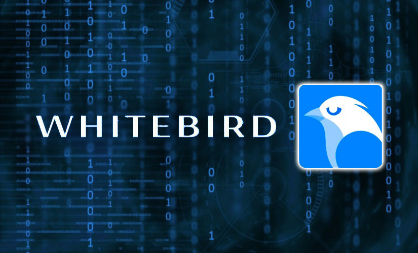 На площадке WhiteBird был открыт раздел ICO