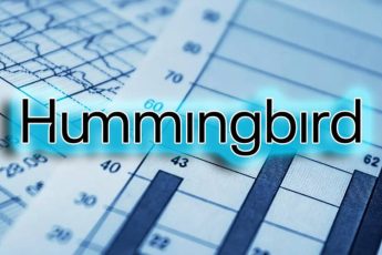 ХумингБирд