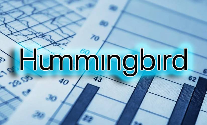 Hummingbird вошел в число самых результативных венчурных фондов Европы: он инвестировал в биржу Kraken