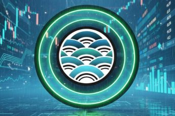 Маркетс бай кинектик