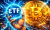 Инвесторы сохраняют позиции в Bitcoin-ETF, невзирая на спад рынка