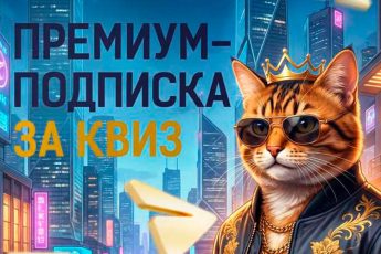 Кваиз