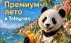 Редакция Crypto.ru проводит конкурс «Премиум-лето»