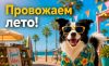 Провожаем лето